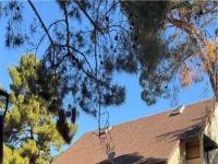 More Details about MLS # 2681594 : 520 ELM DRIVE 202