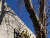 More Details about MLS # 2685507 : 1336 NORTH JONES BOULEVARD
