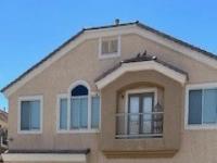More Details about MLS # 2686403 : 3609 INDIGO FLOWER STREET 1